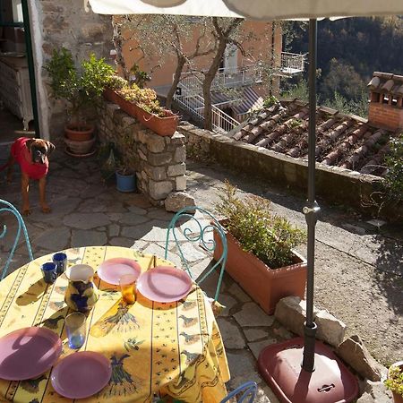 Chezcatherine Villa Sarzana Ngoại thất bức ảnh